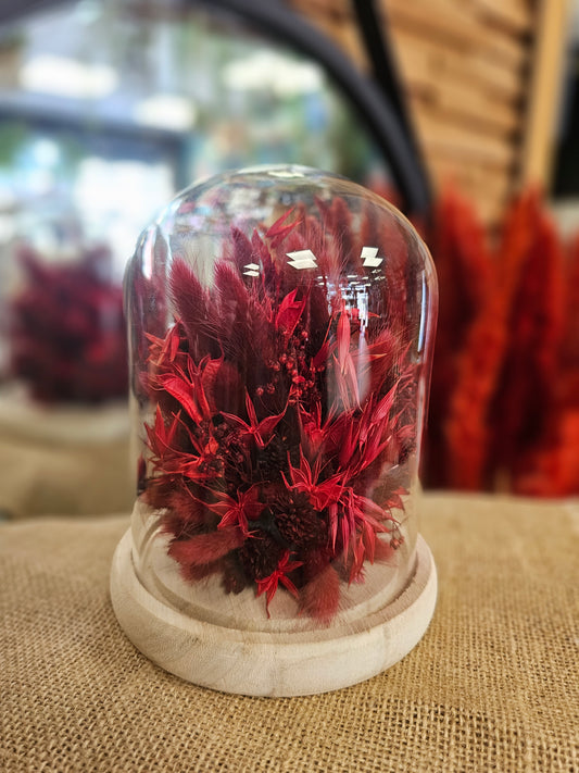 cloche de fleurs séchées