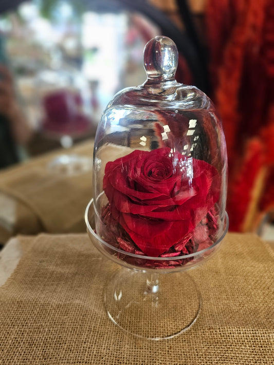 Cloche romantique