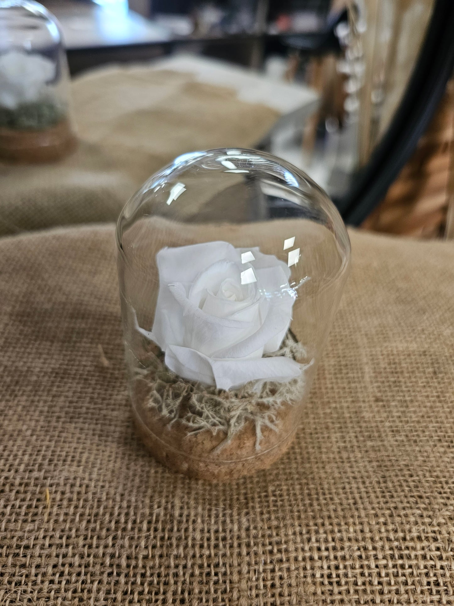 Mini cloches