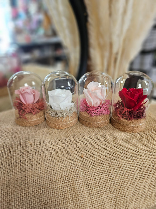 Mini cloches