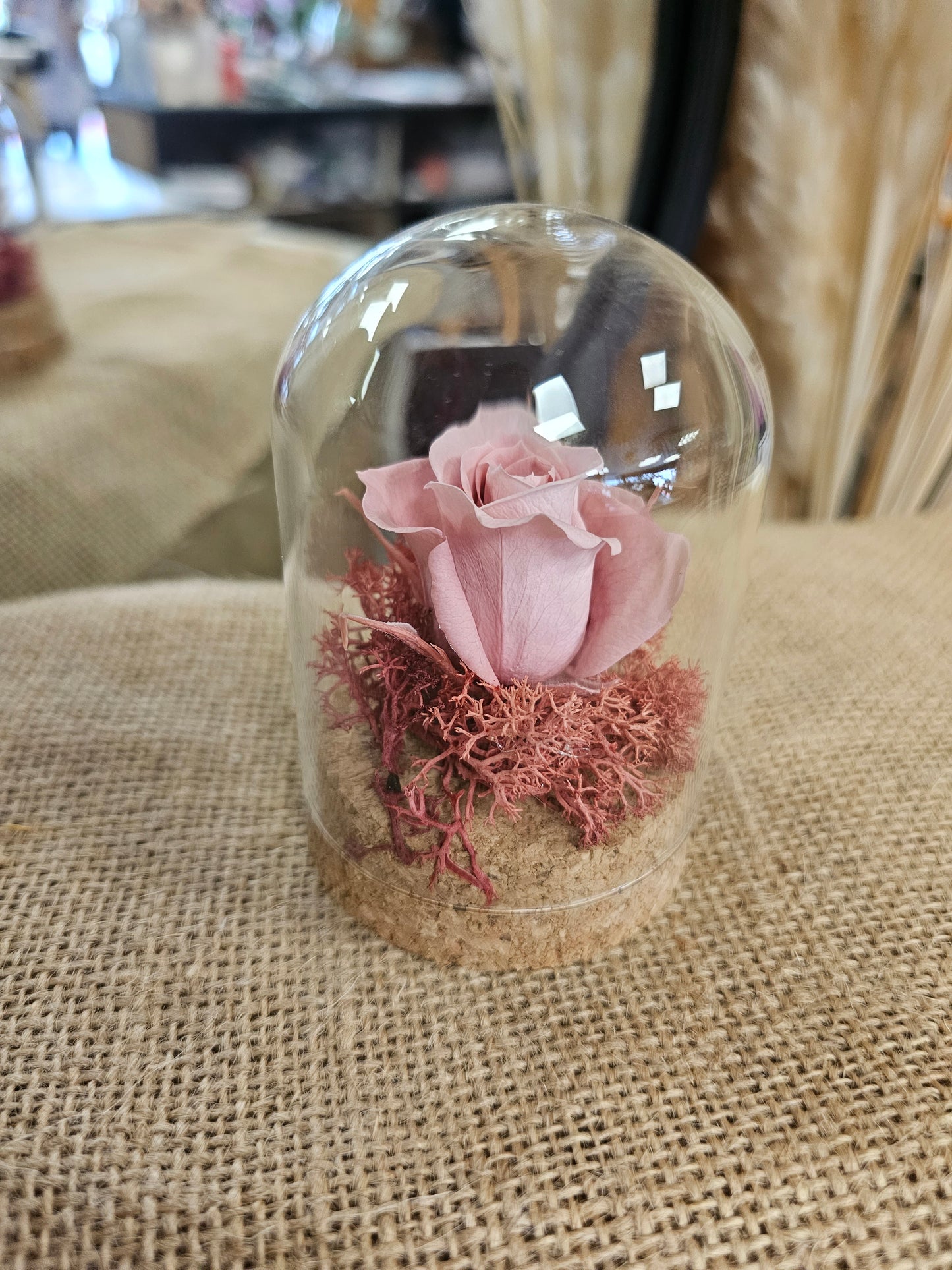 Mini cloches