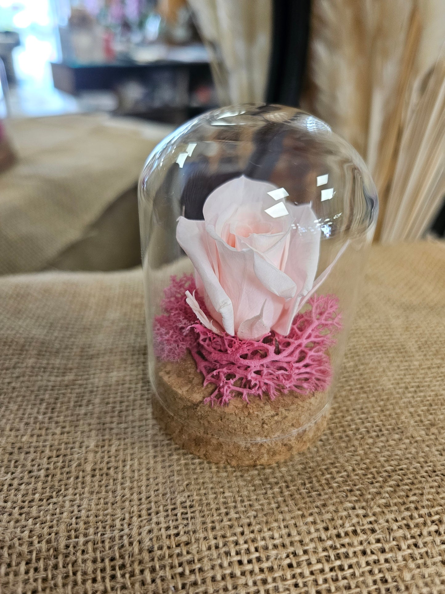 Mini cloches
