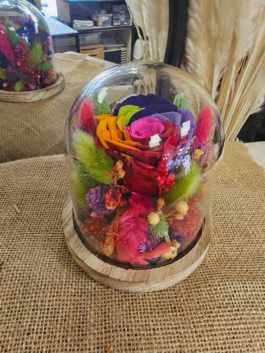 Cloche arlequin