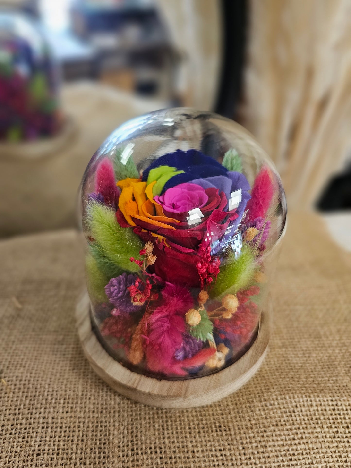 Cloche arlequin