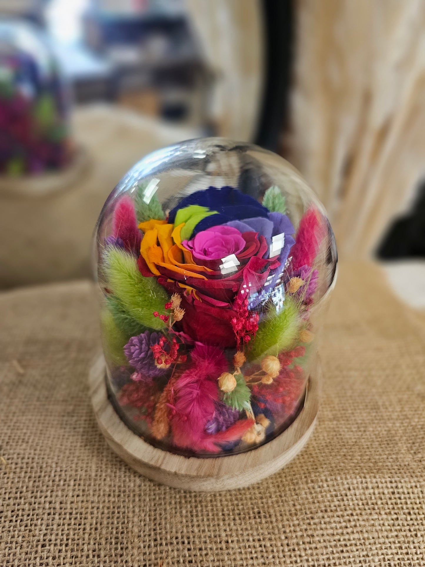Cloche arlequin