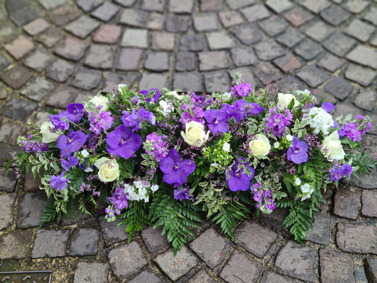 Raquette violet/blanc