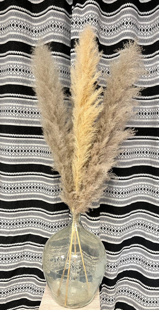 Pampa gris/naturelle