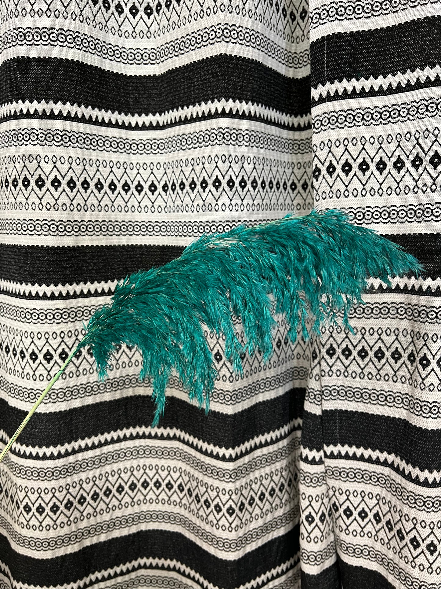 Pampa verte