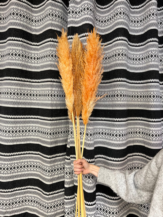 Pampa orange