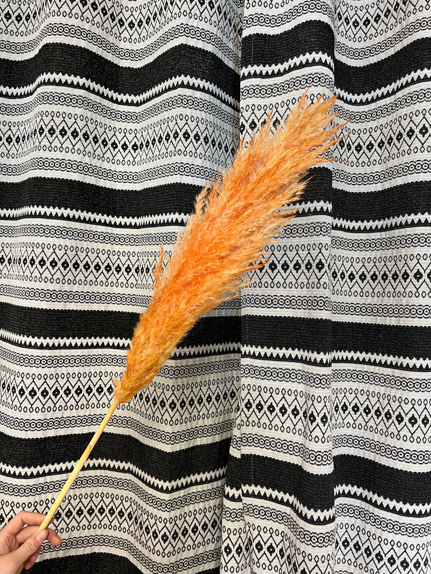 Pampa orange