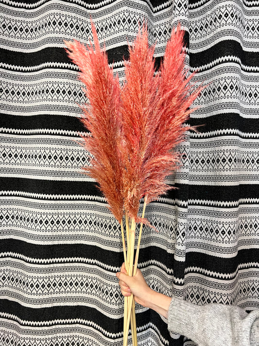 Pampa rouge/saumon