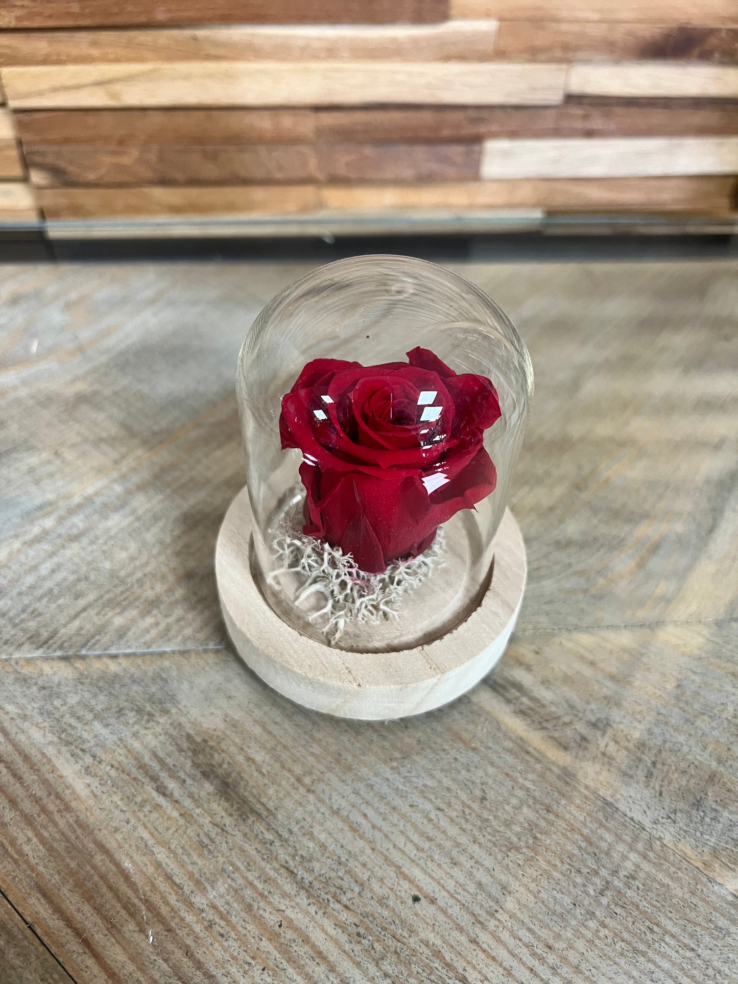 Petite rose éternelle dans cloche