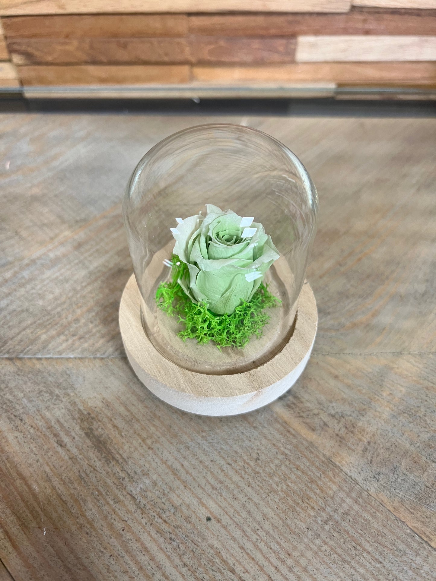 Petite rose éternelle dans cloche