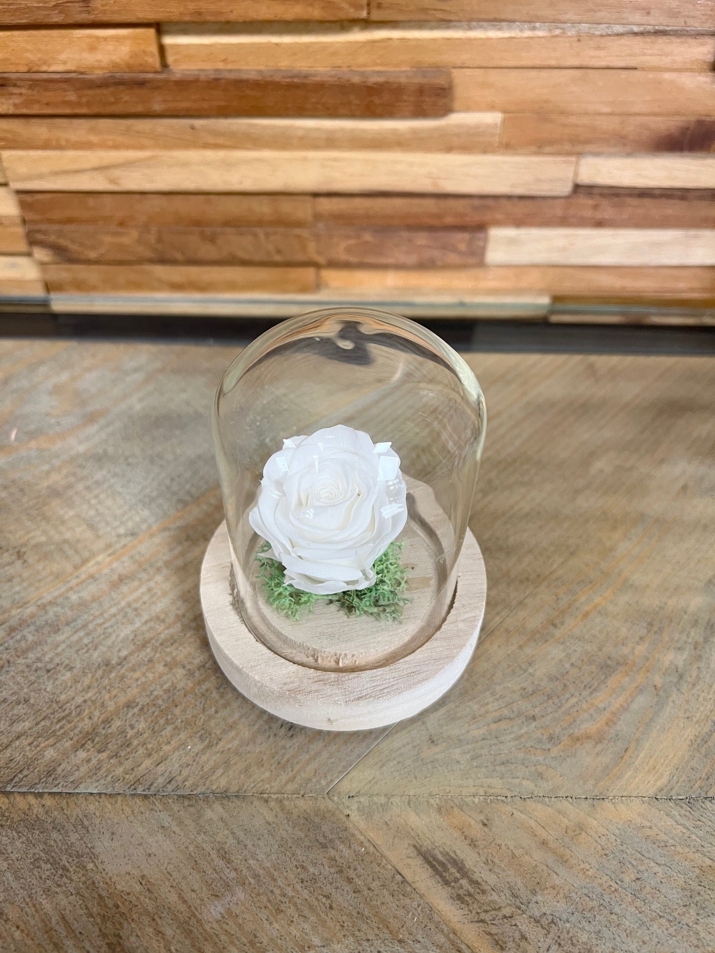 Petite rose éternelle dans cloche