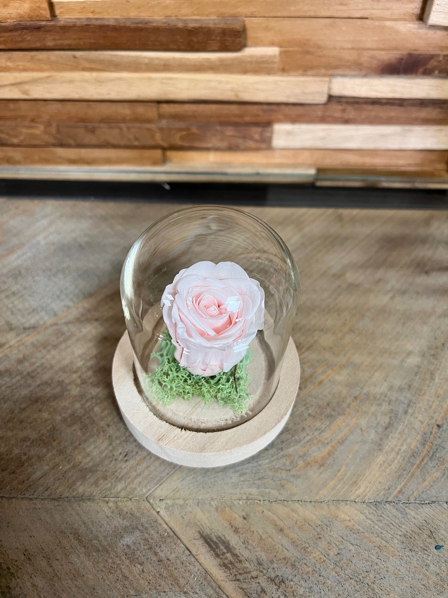Petite rose éternelle dans cloche