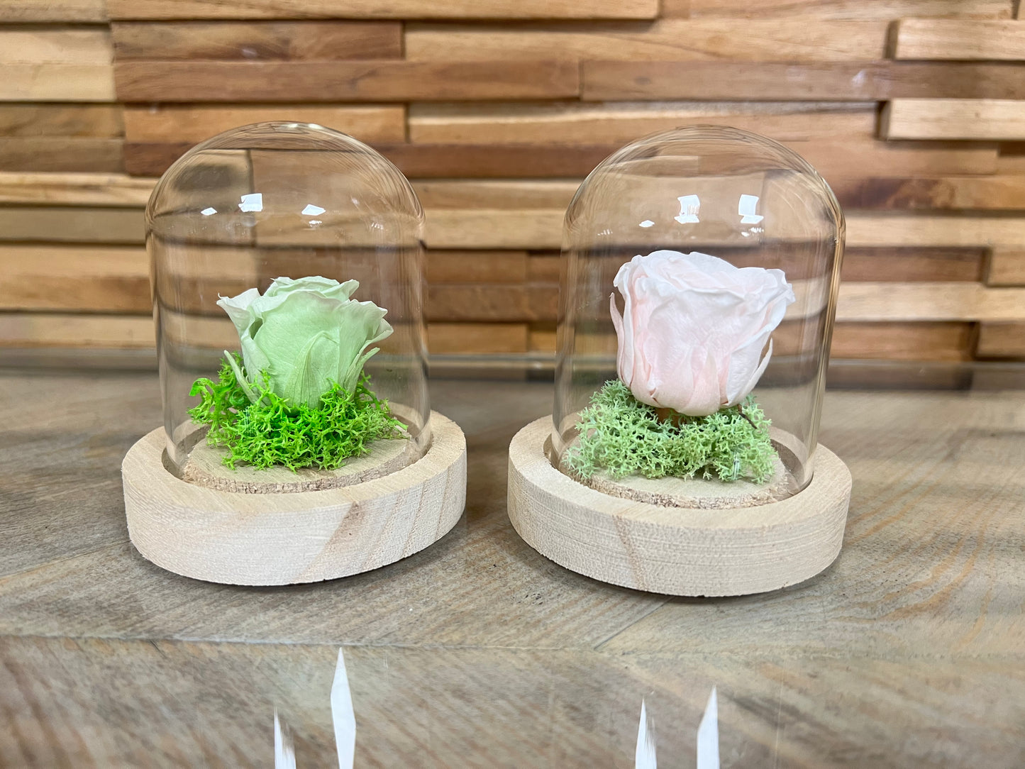 Petite rose éternelle dans cloche
