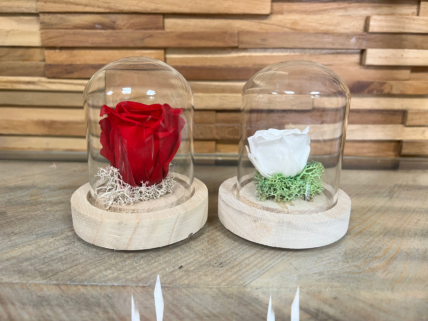 Petite rose éternelle dans cloche